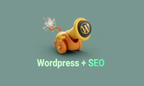Wordpress SEO Ayarları Nasıl Olmalı?