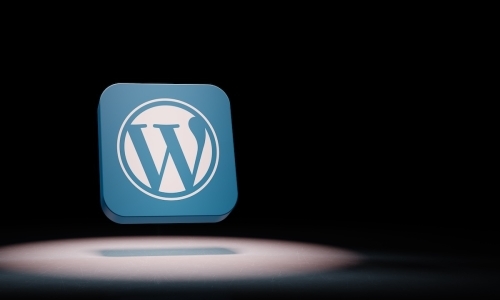 Wordpress ID Bulma Nasıl Yapılır?