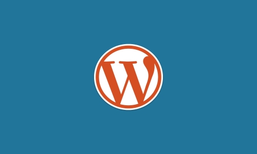 Wordpress Güncellemeler Nasıl Denetlenir?